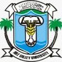 Nile Valley University