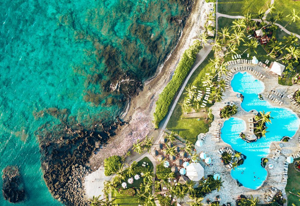 Psychiatry Clinical Updates 2026 plus Psychiatry in Medical Settings- Hybrid