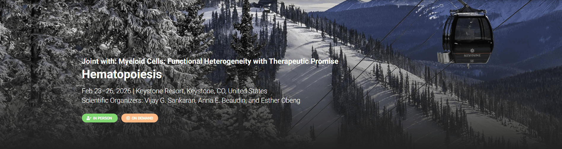 Keystone Symposium: Hematopoiesis