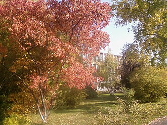 Altai State Technical University