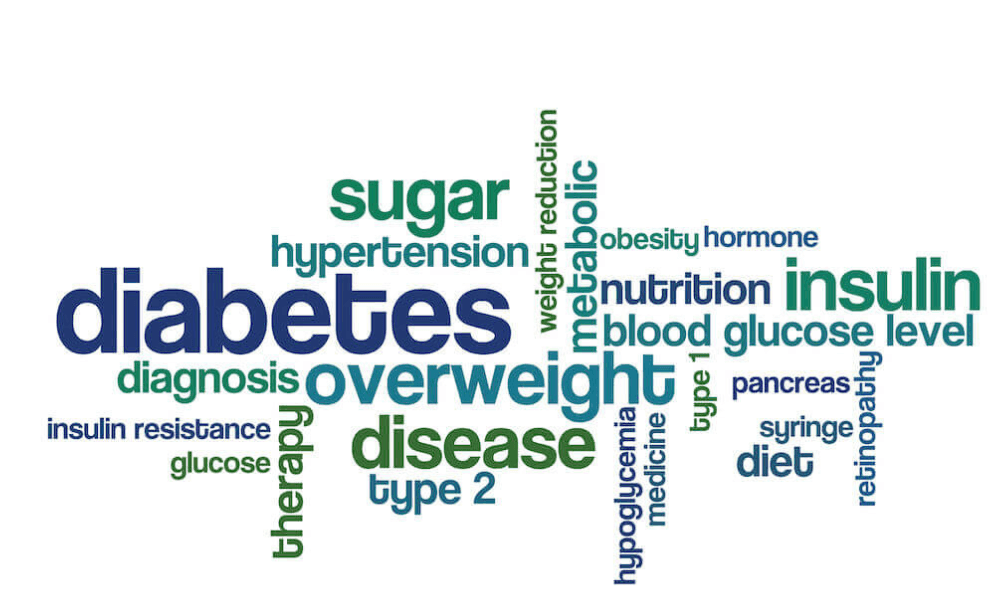 III Diabetes, Obesity and Cholesterol Metabolism Conference