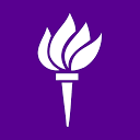 New York University, Abu Dhabi