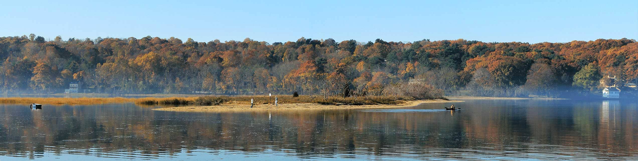 Cold Spring Harbor Laboratory Meeting: Gene Expression & Signaling in the Immune System