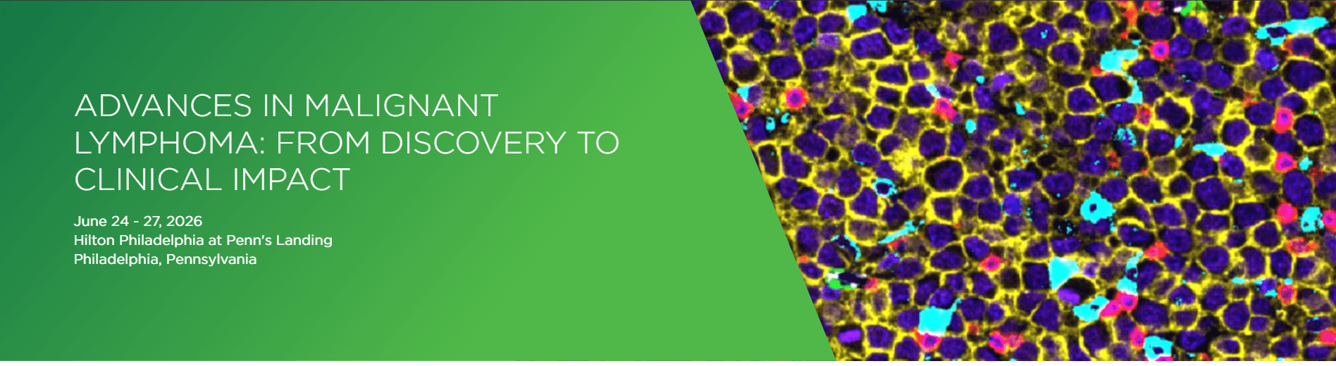 Advances in Malignant Lymphoma: From Discovery to Clinical Impact 2026