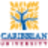 Caribbean University
