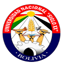 Universidad Nacional Siglo XX Llallagua