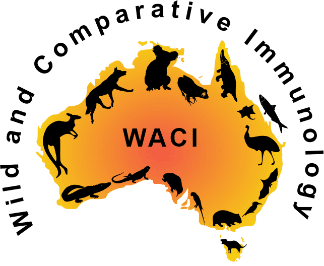 Wild and Comparative Immunology 2026