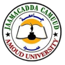 Amoud University