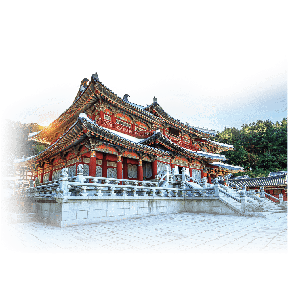XXVII World Congress of Neurology (WCN 2025)