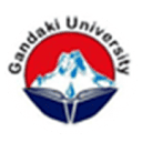 Gandaki University